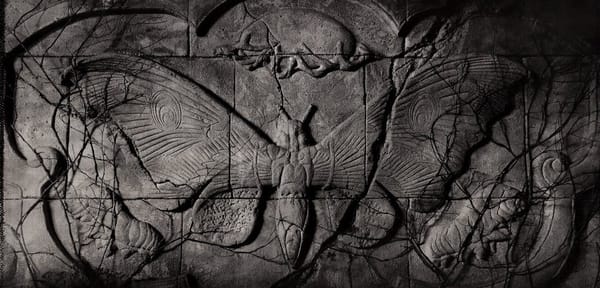 SDCC 2017: First Look at Monsterverse’s Mothra